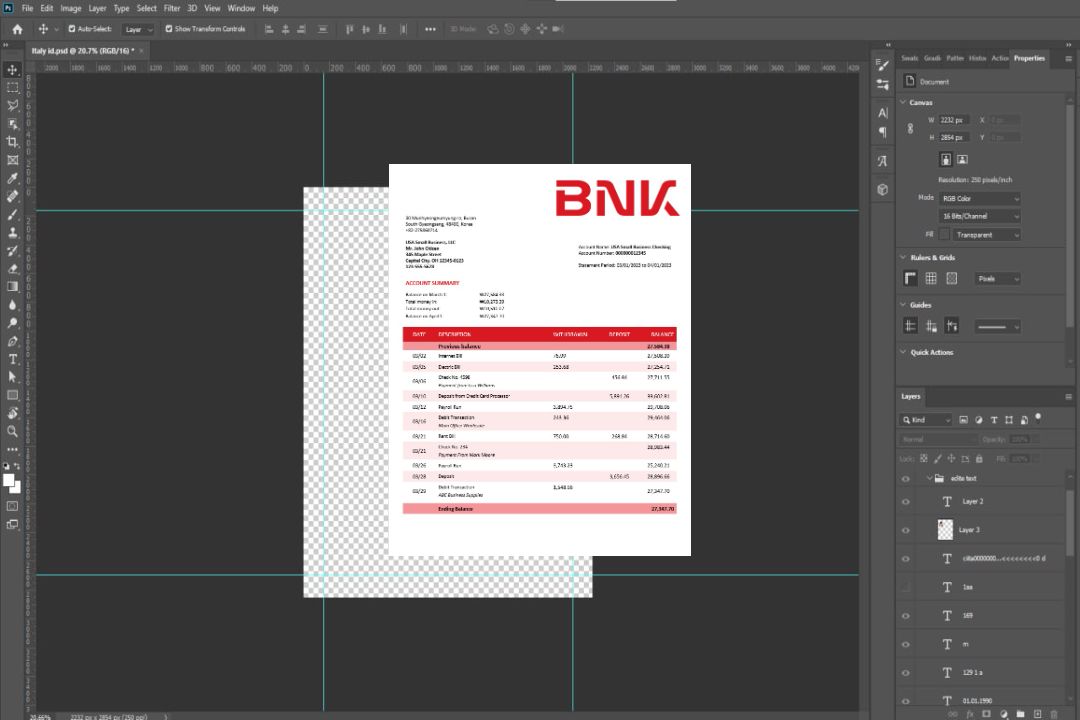 Modèle Word et PDF de déclaration d'entreprise de BNK Financial Group template